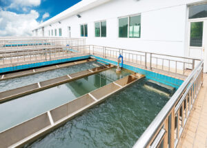 Water tanks in the afternoon sun.